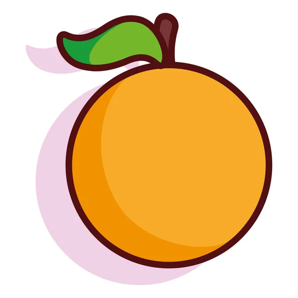 Fruta naranja aislada — Vector de stock