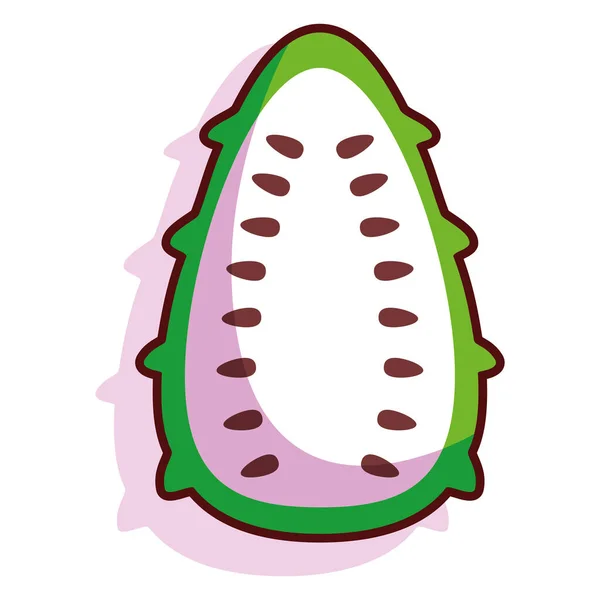 Isolated soursop fruit — Stock Vector