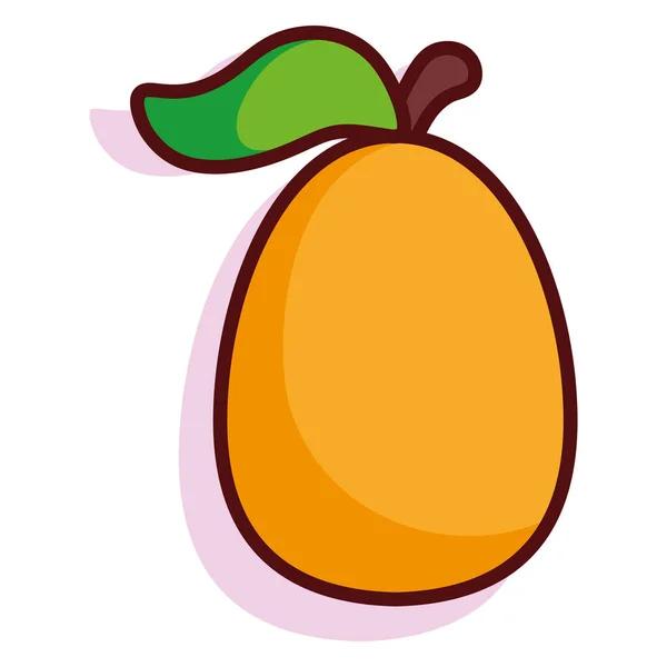 Fruta aislada del mango — Vector de stock