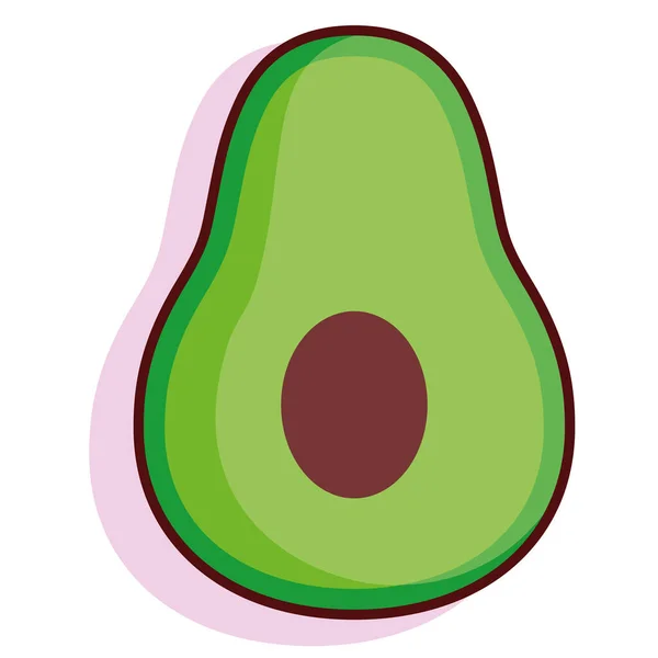 Isolated avocado fruit — Stock Vector