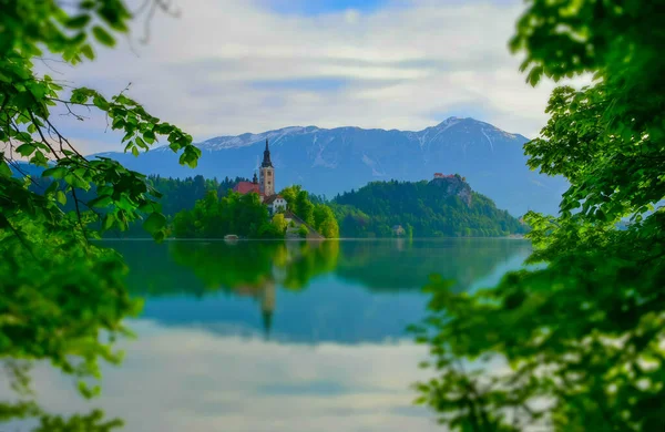 호수와 알프스의 아름다운 아침입니다 자연의 모습을 매력적 교회는 슬로베니아에서 명소이다 — 스톡 사진