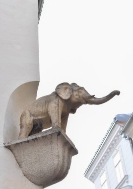 Avusturya 'nın Styria bölgesindeki Graz' ın eski büyüleyici şehir merkezinde bir binanın köşesindeki konsoldaki bir filin taş heykeli.