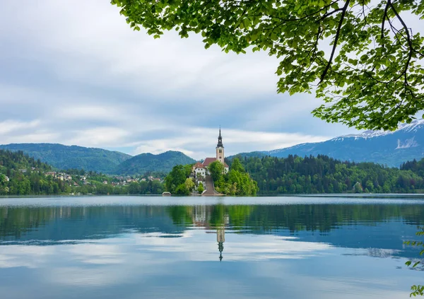 Bellissima Mattinata Sul Lago Bled Sulle Alpi Giulie Sullo Sfondo — Foto Stock