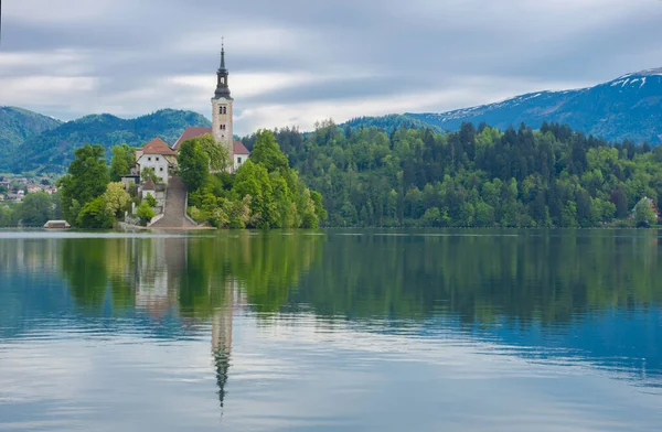 Krásné Ráno Jezera Bled Julian Alps Pozadí Jezerní Ostrov Okouzlující — Stock fotografie