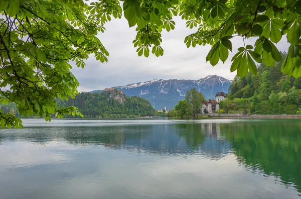 Krásné Ráno Jezera Bled Starý Středověký Hrad Pozadí Slavná Turistická — Stock fotografie