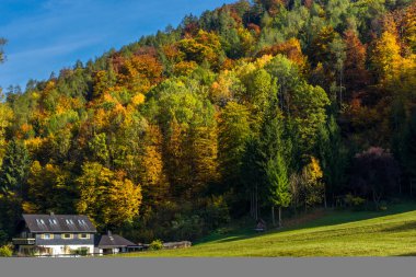 Graz, Styria bölgesi yakınlarında küçük ev ve renkli ağaçlarla sonbahar manzarası, Avusturya