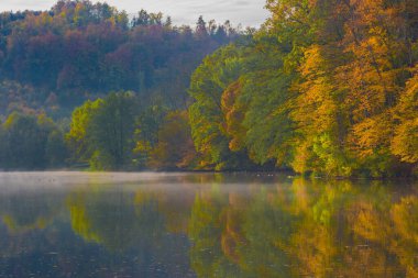 Graz yakınlarındaki Thal Gölü 'nde sonbahar sabahı, Styria bölgesi, Avusturya