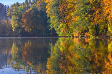 Graz yakınlarındaki Thal Gölü 'nde sonbahar sabahı, Styria bölgesi, Avusturya