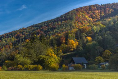 Graz, Styria bölgesi yakınlarında küçük ev ve renkli ağaçlarla sonbahar manzarası, Avusturya