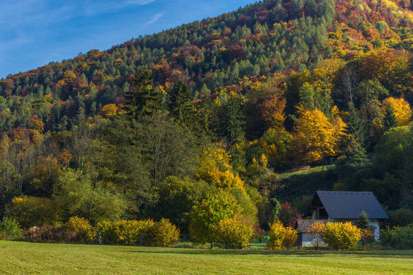 Autumn landscape with small house and colorful trees near Graz, Styria region, Austria