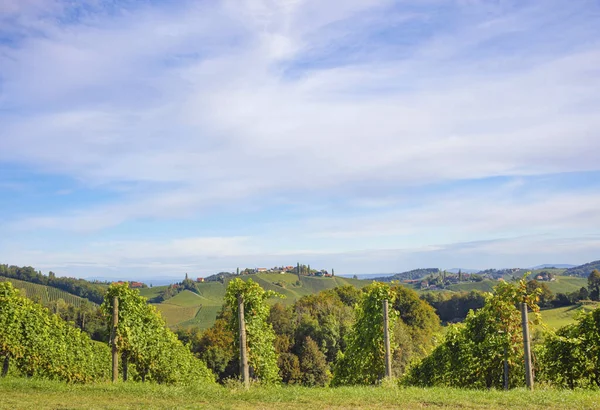 Weinberge Entlang Der Südsteirischen Weinstraße Einer Reizvollen Region Der Grenze — Stockfoto