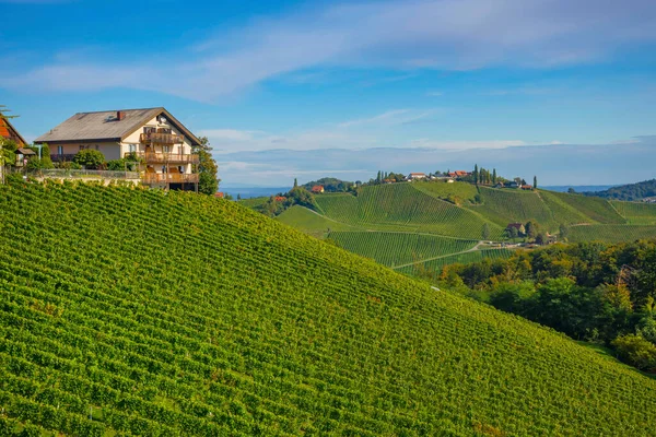 Weinberge Entlang Der Südsteirischen Weinstraße Einer Reizvollen Region Der Grenze — Stockfoto