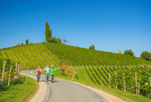 Styria, Avusturya-Ekim 01.2020: Güney Styrian Şarap Yolu boyunca yürüyüş yapan insanlar, yeşil kayan tepeler, üzüm bağları, pitoresk köyler ve şarap tavernaları bulunan büyüleyici bir bölge