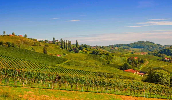 Weinberge Entlang Der Südsteirischen Weinstraße Einer Reizvollen Region Der Grenze — Stockfoto