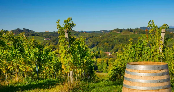 沿着南斯特里安葡萄酒路 South Styrian Wine Road 的葡萄园 这是奥地利和斯洛文尼亚边境上一个迷人的地区 有着绿色起伏的山丘 葡萄园 风景如画的村庄和酒店 图库图片