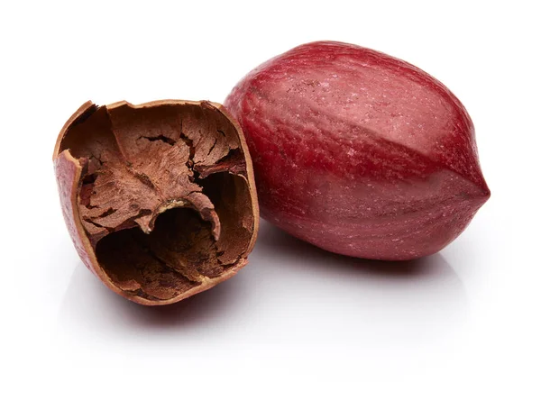 Pecan Geïsoleerd Witte Achtergrond Rechtenvrije Stockfoto's