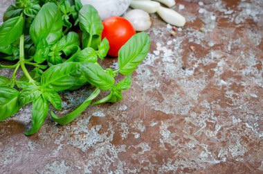 Yeşil fesleğen, domates, yeşil soğan, sarımsak, tuz ve baharat karanlık bir taş zemin üzerine. Üstten görünüm, kopya alanı. 