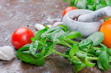 Yeşil fesleğen, domates, yeşil soğan, sarımsak, tuz ve baharat karanlık bir taş zemin üzerine. Üstten görünüm, kopya alanı. 