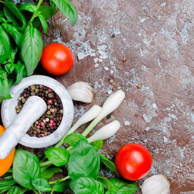 Olgun kırmızı ve sarı domates, yeşil soğan ve fesleğen, sarımsak, tuz ve baharat karanlık bir taş zemin üzerine. Üstten görünüm, kopya alanı. 