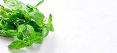 Beyaz ahşap arka planda, taze aromatik otlar yakın mutfak otlar pişirme kadar taze yeşil fesleğen demet. Kopya alanı