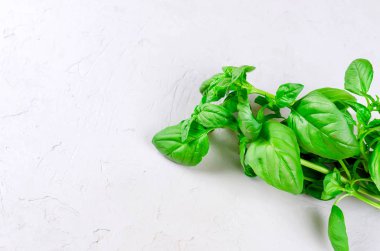 Beyaz ahşap arka planda, taze aromatik otlar yakın mutfak otlar pişirme kadar taze yeşil fesleğen demet. Kopya alanı