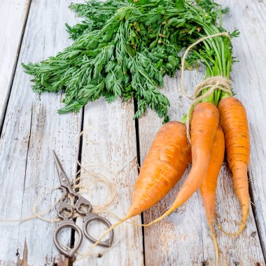 Rustik beyaz ahşap zemin üzerine yeşil yaprakları ile taze havuç demet. Sebze. Gıda. Kopya alanı, üstten görünüm