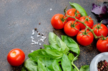 Olgun kırmızı ve sarı domates, yeşil soğan ve fesleğen, sarımsak, tuz ve baharat karanlık bir taş zemin üzerine. Üstten görünüm, kopya alanı.