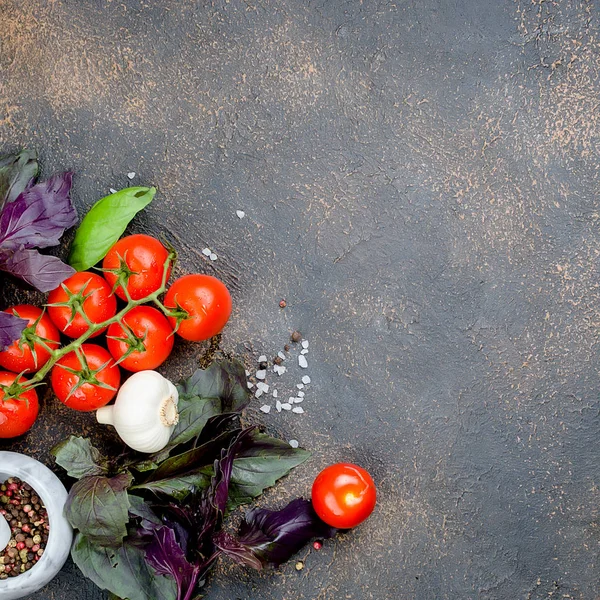 Olgun kırmızı ve sarı domates, yeşil soğan ve fesleğen, sarımsak, tuz ve baharat karanlık bir taş zemin üzerine. Üstten görünüm, kopya alanı.