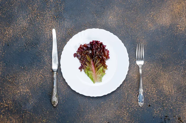单生菜叶上板上的黑暗石桌上 饮食观念与均衡食品 顶级视图 Spac — 图库照片