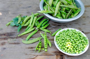 kase ve Pods bezelye üzerinde gri bir eski ahşap artalanları genç yeşil bezelye. Karanlık rustik tarzı.
