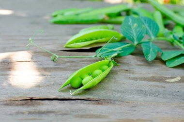 Bakla genç yeşil bezelye ve bezelye eski rustik ahşap arka plan üzerinde. Karanlık rustik tarzı.