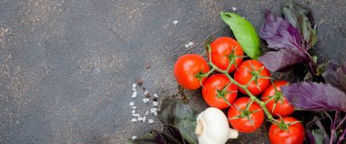 Olgun kırmızı ve sarı domates, yeşil soğan ve fesleğen, sarımsak, tuz ve baharat karanlık bir taş zemin üzerine. Üstten görünüm, kopya alanı.
