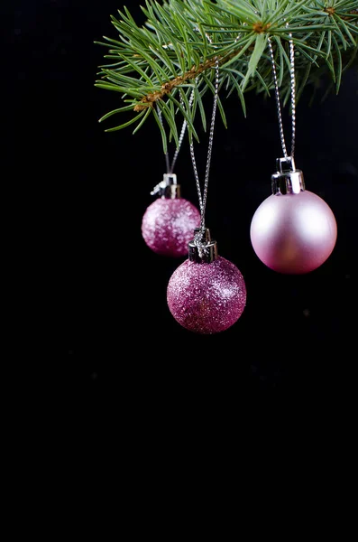 Bolas Navidad Púrpura Rama Abeto Verde Sobre Fondo Negro Tarjeta —  Fotos de Stock