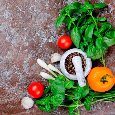 Olgun kırmızı ve sarı domates, yeşil soğan ve fesleğen, sarımsak, tuz ve baharat karanlık bir taş zemin üzerine. Üstten görünüm, kopya alanı. 