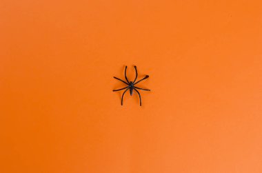 turuncu bir arka plan üzerinde siyah örümcek. Cadılar Bayramınız Kutlu Olsun!