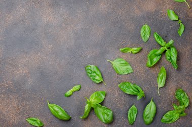 dağınık yeşil koyu paslı eski arka plan üzerinde taze fesleğen yaprağı çok yakın en iyi görünümü, kopya alanı