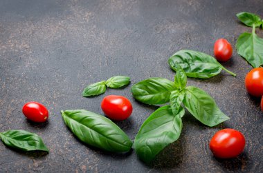 bir sürü dağınık Yeşil taze fesleğen yaprakları ve kiraz domates bir karanlık paslı eski arka plan üzerinde en iyi görünümü kapatın, alanı Kopyala