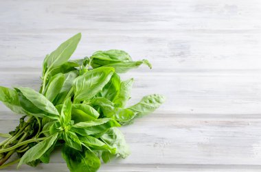 beyaz eski rustik ahşap zemin üzerinde şube ile büyük yeşil taze fesleğen yaprakları, en iyi görünümü, kopya alanı kapatın