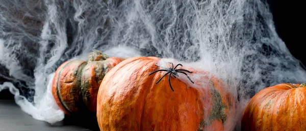 Citrouilles d'automne, toile et araignée en noir — Photo