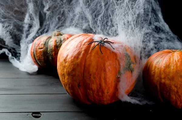 Calabazas de otoño, tela y araña en negro — Foto de Stock
