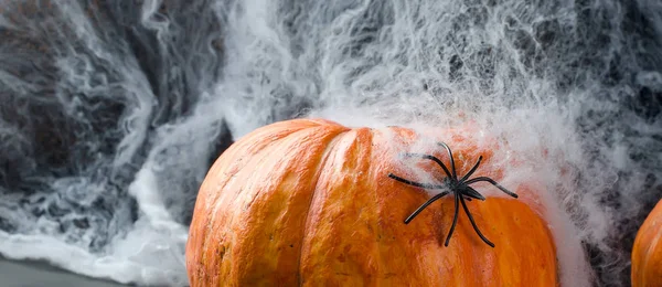 Citrouilles d'automne, toile et araignée en noir — Photo