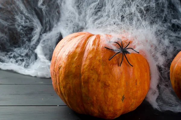 Herbstkürbisse, Netz und Spinne in schwarz — Stockfoto