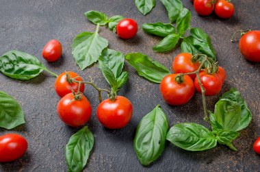 bir sürü dağınık Yeşil taze fesleğen yaprakları ve kiraz domates bir karanlık paslı eski arka plan üzerinde en iyi görünümü kapatın, alanı Kopyala