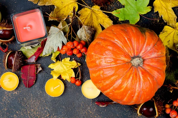 Pompoen Kaars Kastanje Schelp Een Glas Herfst Gevallen Esdoorn Bladeren — Stockfoto