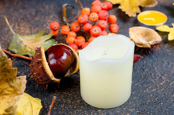 Chestnut Shell Candle Glass Autumnal Fallen Maple Leaves Dark Background — Stock Photo, Image