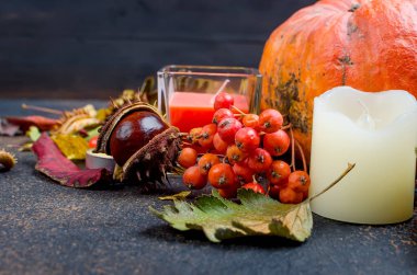 kabak, mum, kestane kabuğu bir cam ve sonbahar düşmüş akçaağaç yaprakları koyu arka plan üzerinde natürmort, sonbahar konsepti düşmek