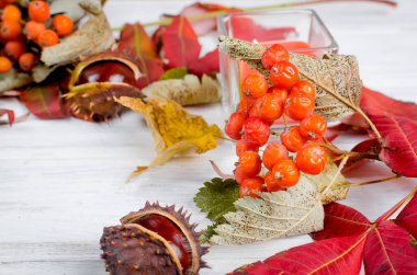 kestane kabuğu, mum bir cam ve ahşap zemin üzerine sonbahar düşmüş akçaağaç yaprakları sonbaharda natürmort