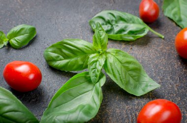 bir sürü dağınık Yeşil taze fesleğen yaprakları ve kiraz domates bir karanlık paslı eski arka plan üzerinde en iyi görünümü kapatın, alanı Kopyala