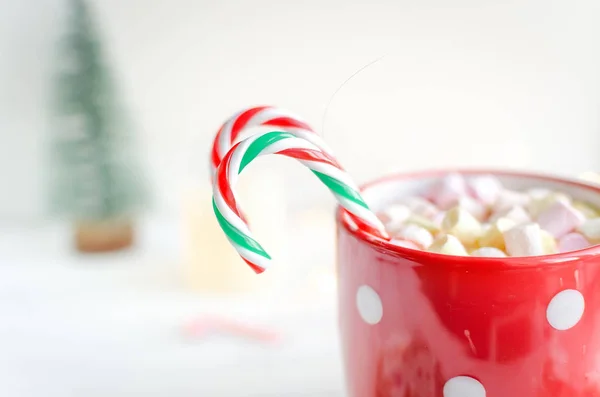 Cup Hot Cocoa Beautiful Traditional Sugar Glazed Christmas Gingerbread Cookies — Stock Photo, Image