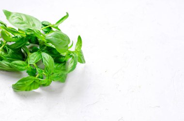 Beyaz ahşap arka planda, taze aromatik otlar yakın mutfak otlar pişirme kadar taze yeşil fesleğen demet. Kopya alanı